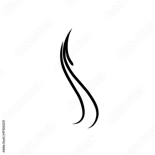 hairline illustration