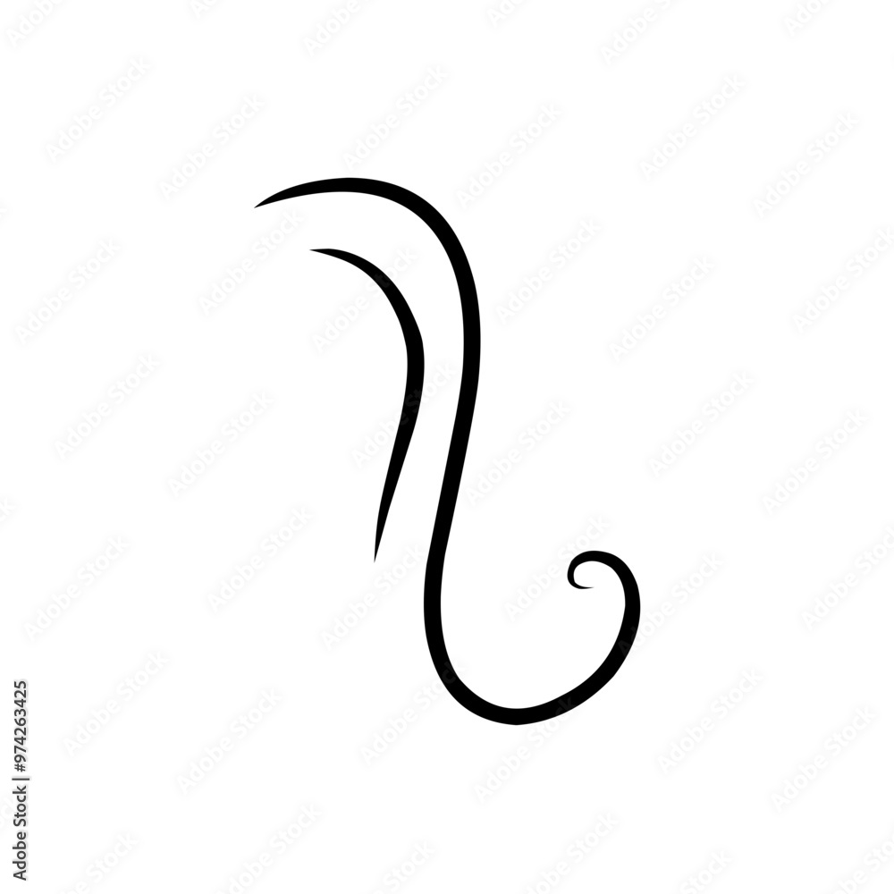 hairline illustration hairline illustration
