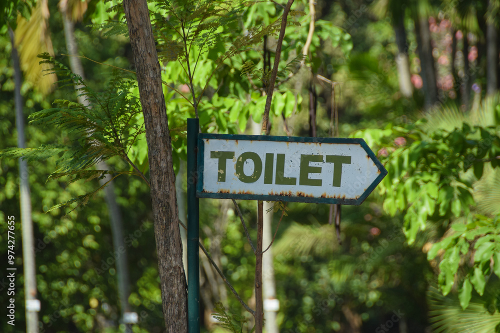 Sign pointing to Toilet. WC sign. Public toilet sign in the park Sign pointing to Toilet. WC sign. Public toilet sign in the park