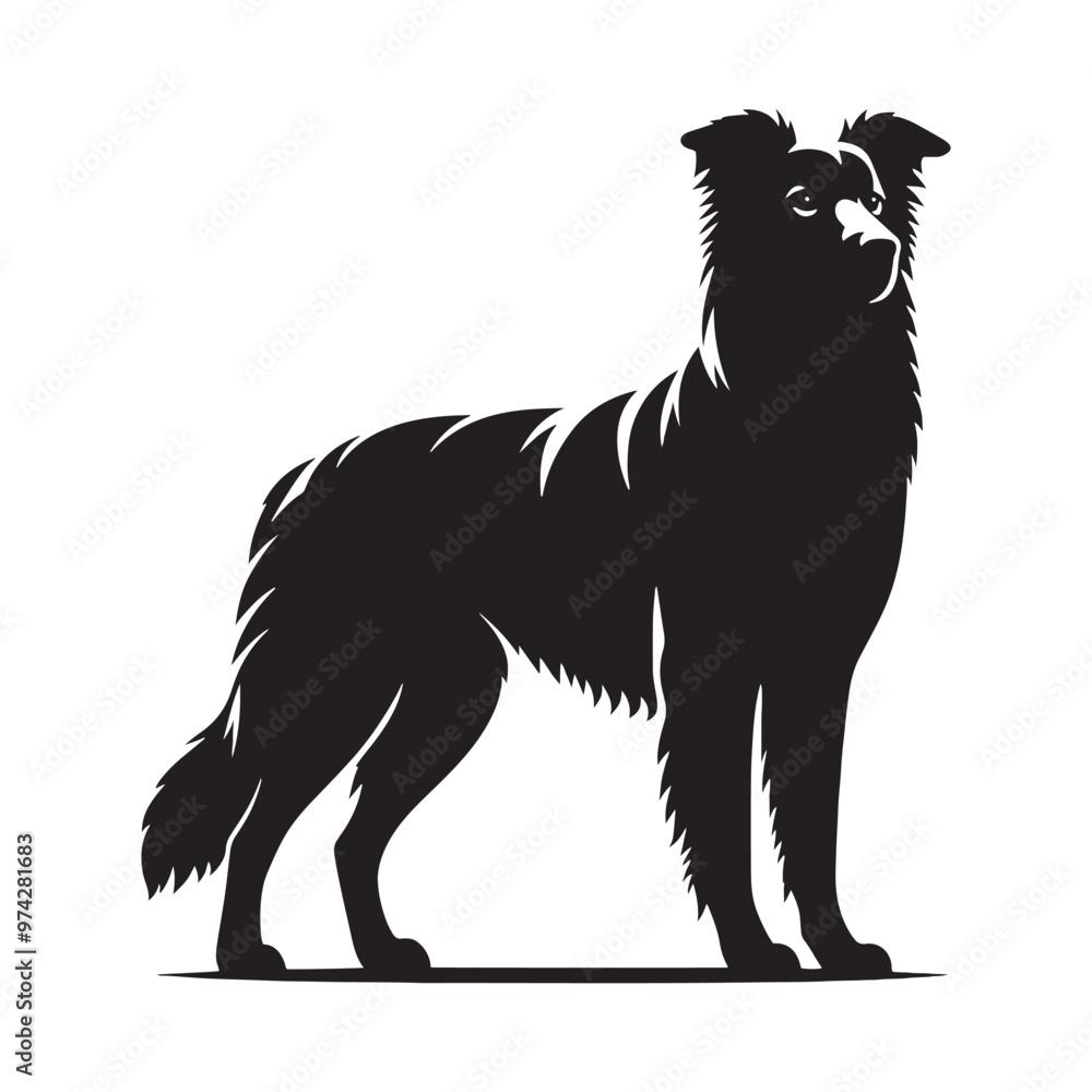 Detailed dog silhouette for modern creative and media uses - Dog black vector
Detailed dog silhouette for modern creative and media uses - Dog black vector