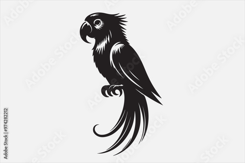 A beautiful cuie Parrot silhouette design. photo