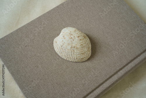 Seashell placed on desert taupe diary and beige fabric