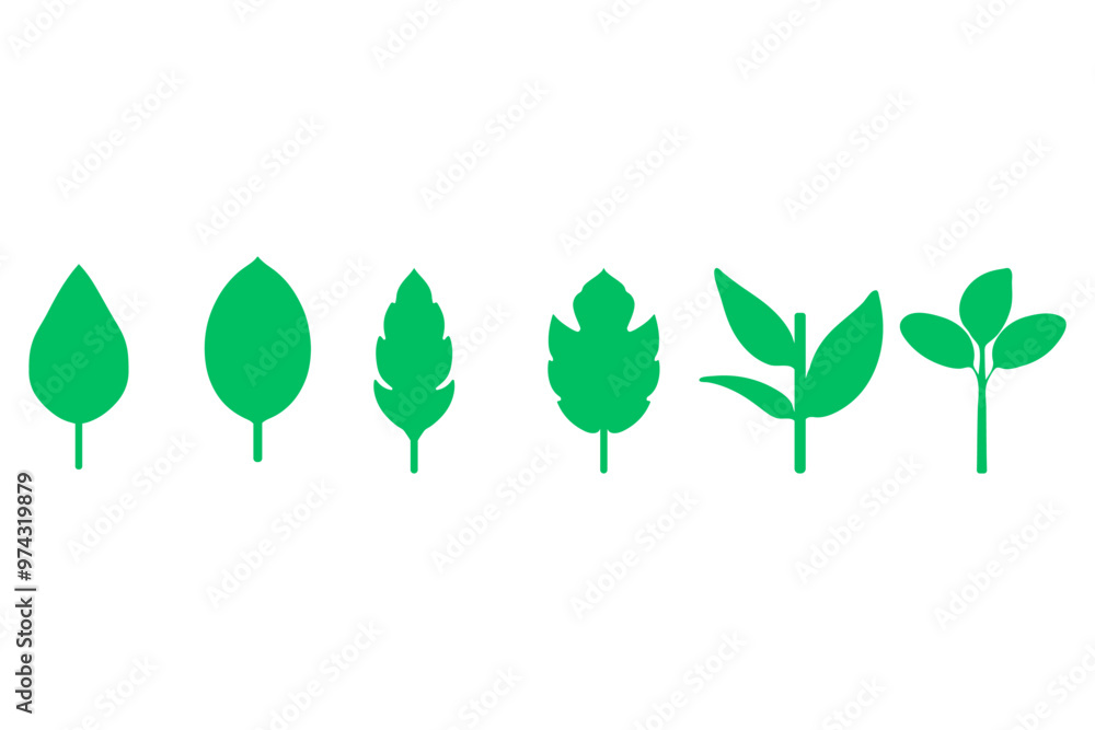 Decorative floral icon set. Nature design Decorative floral icon set. Nature design