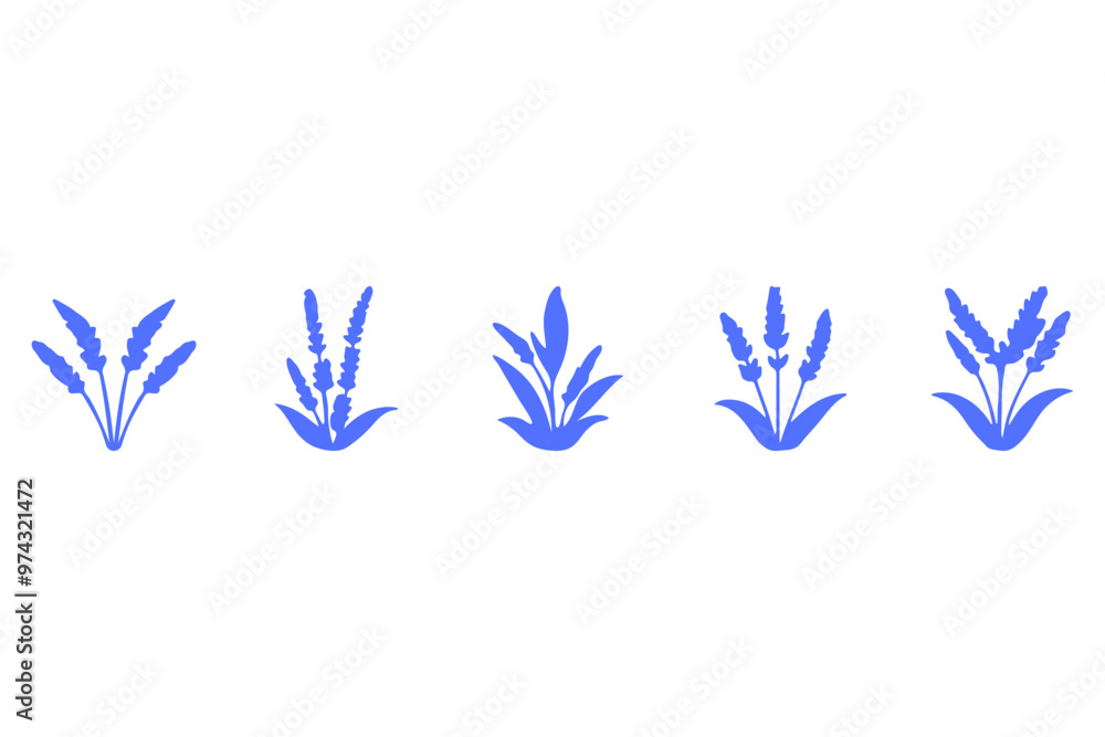 Simple lavender flower icon set Simple lavender flower icon set