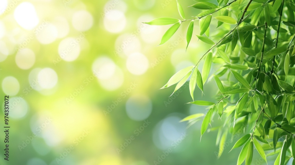 Green Leaves Background with Bokeh Green Leaves Background with Bokeh