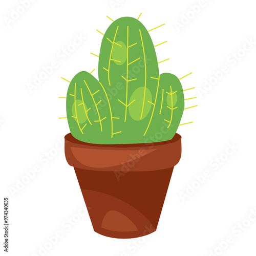 cactus in flower pot