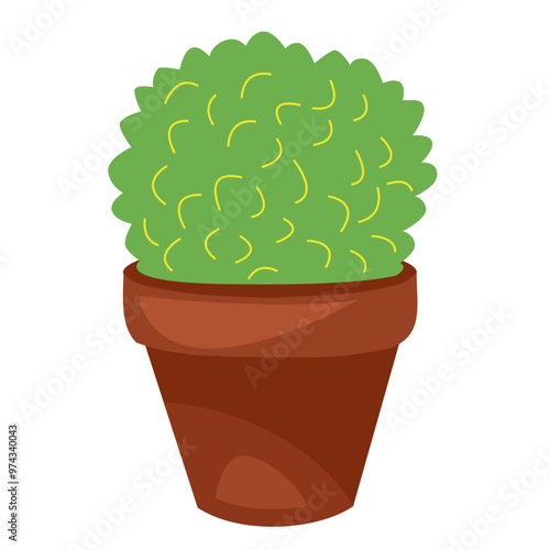 cactus in flower pot