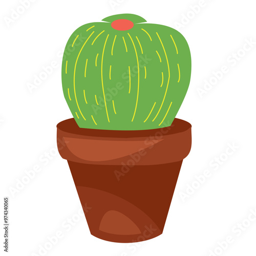 cactus in flower pot
