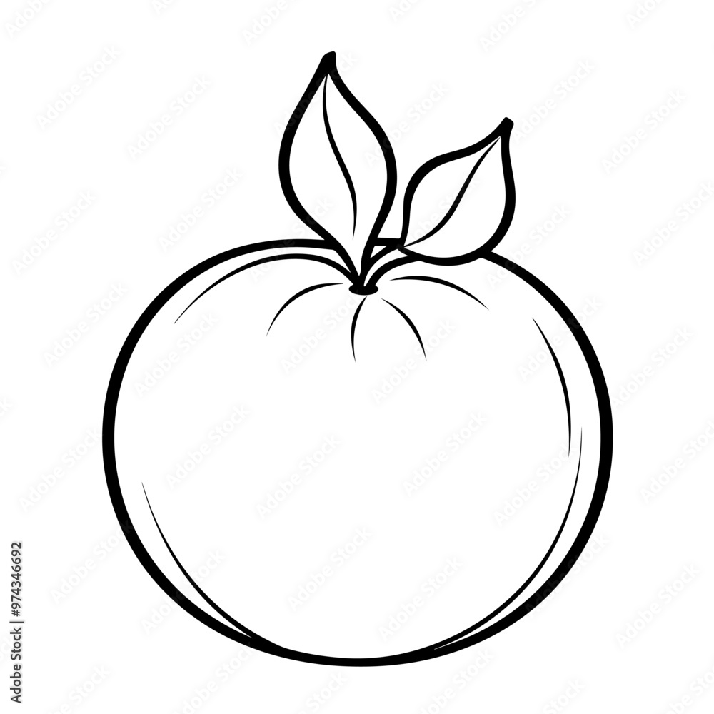 Simplistic vector outline of a Chinese pear icon for versatile use. Simplistic vector outline of a Chinese pear icon for versatile use.