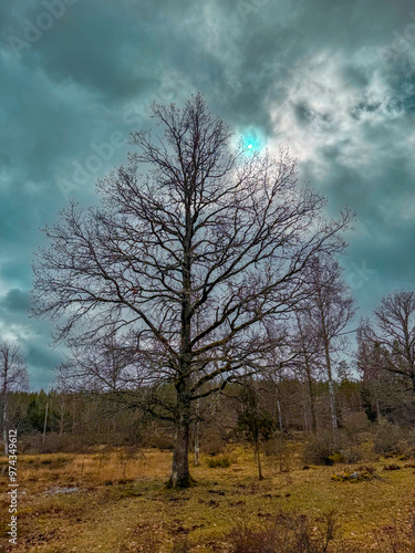 Schweden, Sweden, Sunset, Wald, Forest, Bäume, Trees, Landschaften, Landscapes, See, Lake, einsam, Urlaub, wunderschön, Drohnen, Droneshots, River, Fluss, wild, Natur, abgelegen, Inseln, Island, photo