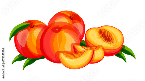 Composition of sweet and juicy peaches in cartoon style. Vector illustration of fresh and tasty peaches with green leaves: whole, halves, pitted, slices isolated on white background.A healthy snack. 