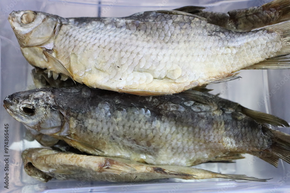 A variety of assorted dried fish arranged in a clear container for display and enjoyment A variety of assorted dried fish arranged in a clear container for display and enjoyment