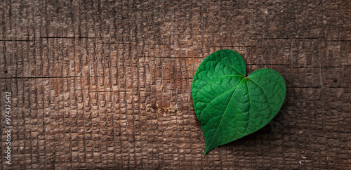 Grünes Herzförmiges Blatt auf altem Holzbrett