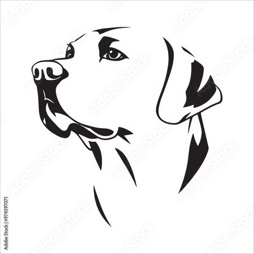 Labrador Retriever dog head vector illustration isolated on white background.