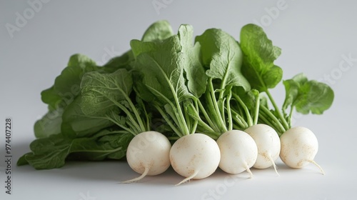 Fresh White Radishes With Green Leaves Arranged Neatly for a Healthy Meal Preparation