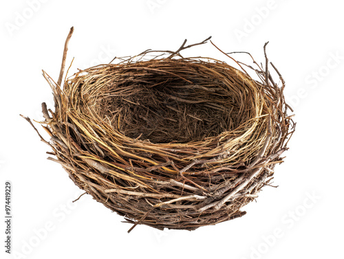 Round bird nest made of twigs on transparent background.