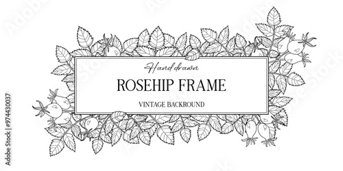 Hand drawn autumn botanical frame with rosehip leaves. Vector illustration in sketch style isolated on white. Realistic rosehip design element. Space for text photo