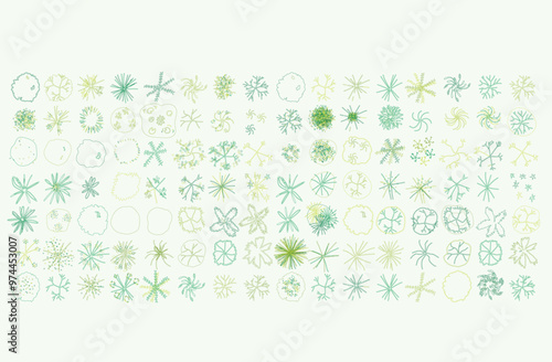 Vector tree top view isolated on white background for landscape plan and architecture layout drawing, elements for environment and garden