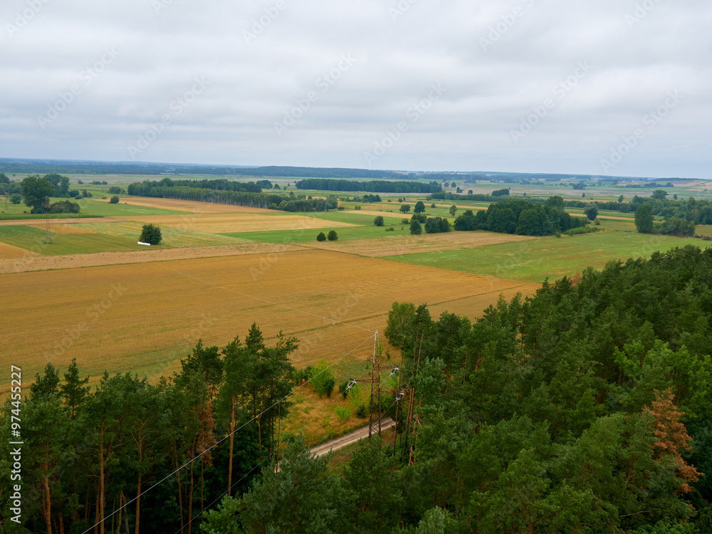 Obraz premium Aerial view of the countryside in summer with fields and forests.