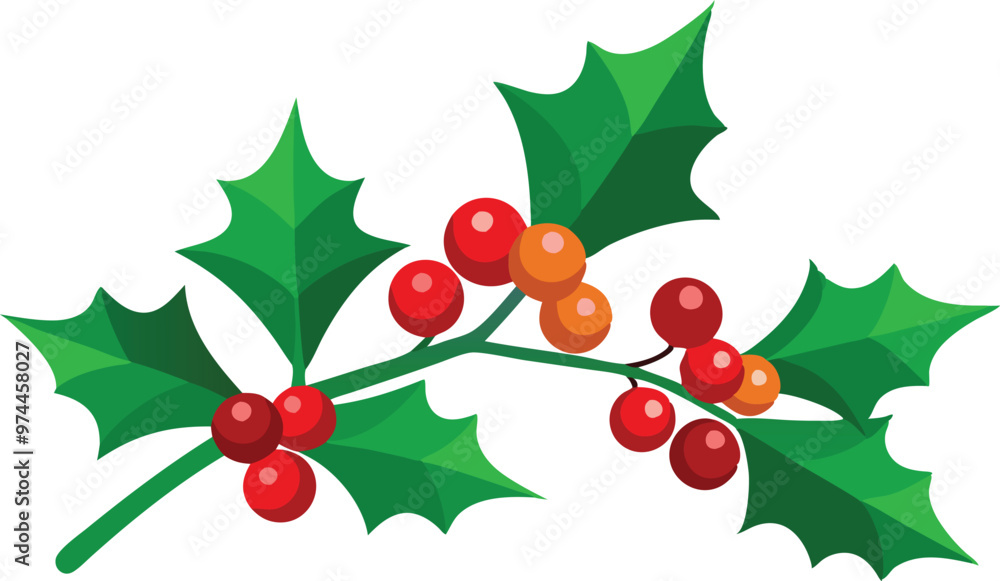 Fototapeta premium A holly branch with green leaves and red and orange berries.