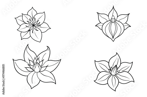 Black and white palash flowers vector design illustration