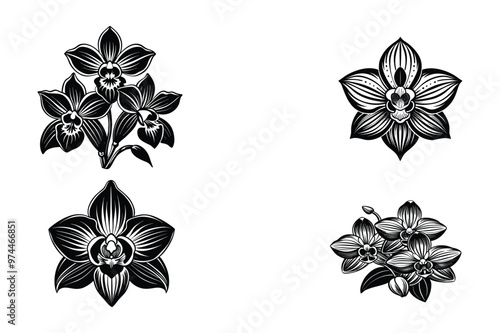 This is a orchid flowers vector design illustration