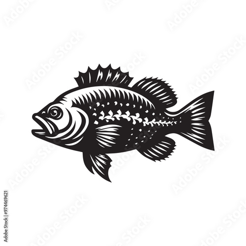 Creative Set Of A Fish Vector Design.