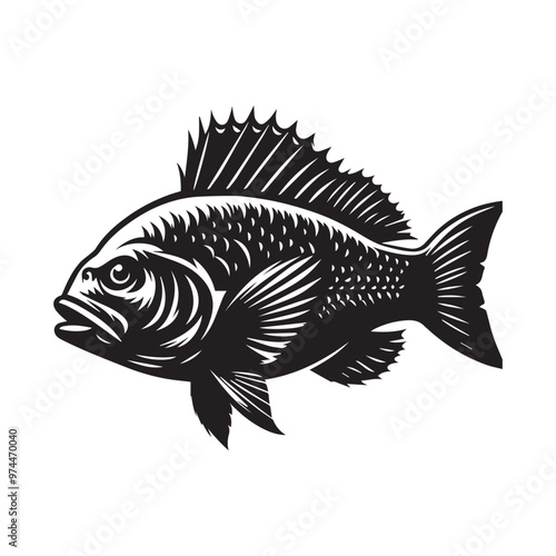 Creative Set Of A Fish Vector Design.