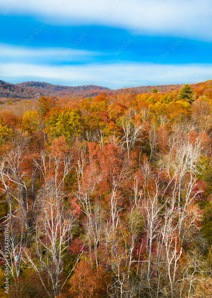 Fototapeta premium Fall foliage overhead drone view of colorful autumn trees and leaves