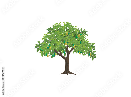 Avocado tree isolated with fruits, 100 percent organic food