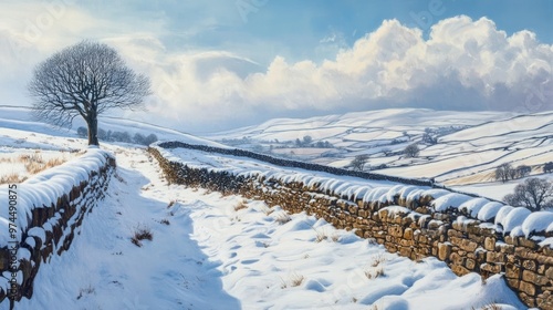 Snow on Swaledale's walls photo