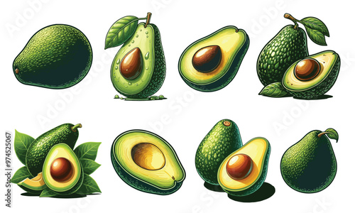 Set of fresh whole and half avocado isolated on white background | Vector illustration for design