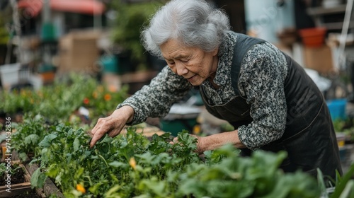 Wallpaper Mural An elderly woman tending to a community garden, showcasing sustainable living and urban agriculture. Torontodigital.ca