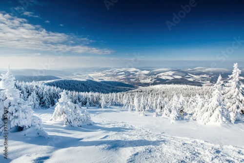 Snowy Mountaintop View with Snow-Covered Trees and Blue Sky