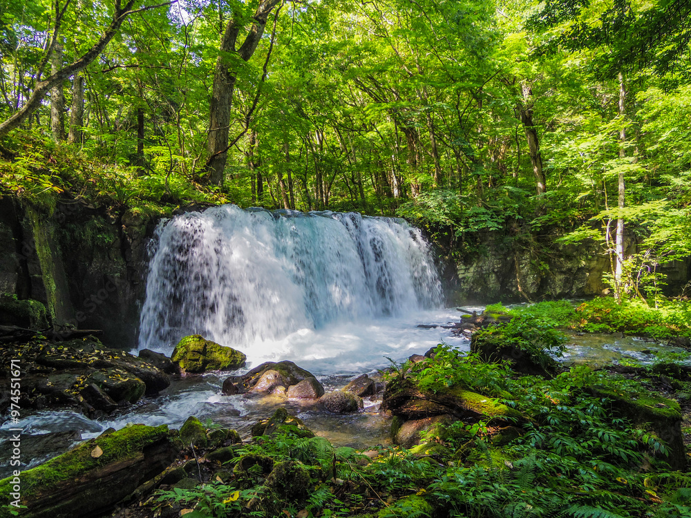 Obraz premium 【青森県】奥入瀬渓流・銚子大滝