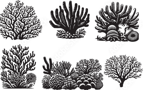 Marine coral vectors   silhouette 