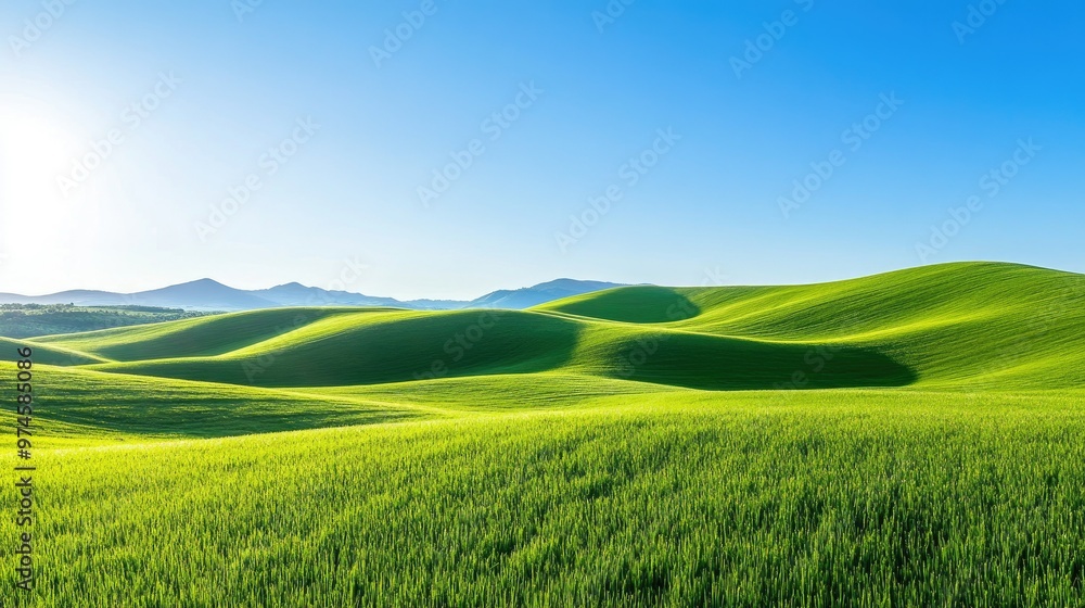 Fototapeta premium Green grass lawn stretching to the horizon, with soft hills in the distance and a bright, clear day.