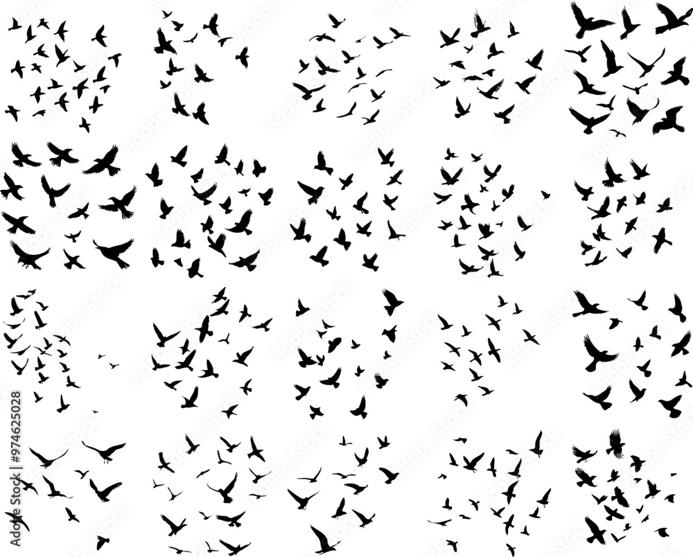 Silhouette of Birds in Flight, Minimalist Black and White Design Silhouette of Birds in Flight, Minimalist Black and White Design