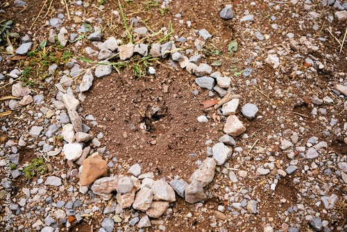 Close-up of the entrance to an anthill in the middle of an earthy area rounded off with small stones on the ground photo