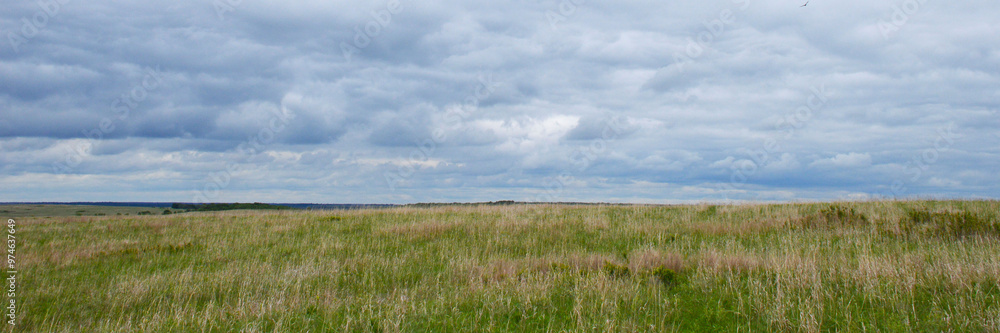 Prairie Prairie