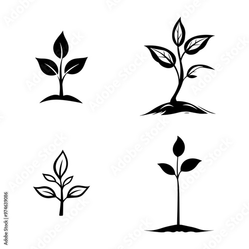Simple Black and White Plant Growth Stages Illustrations