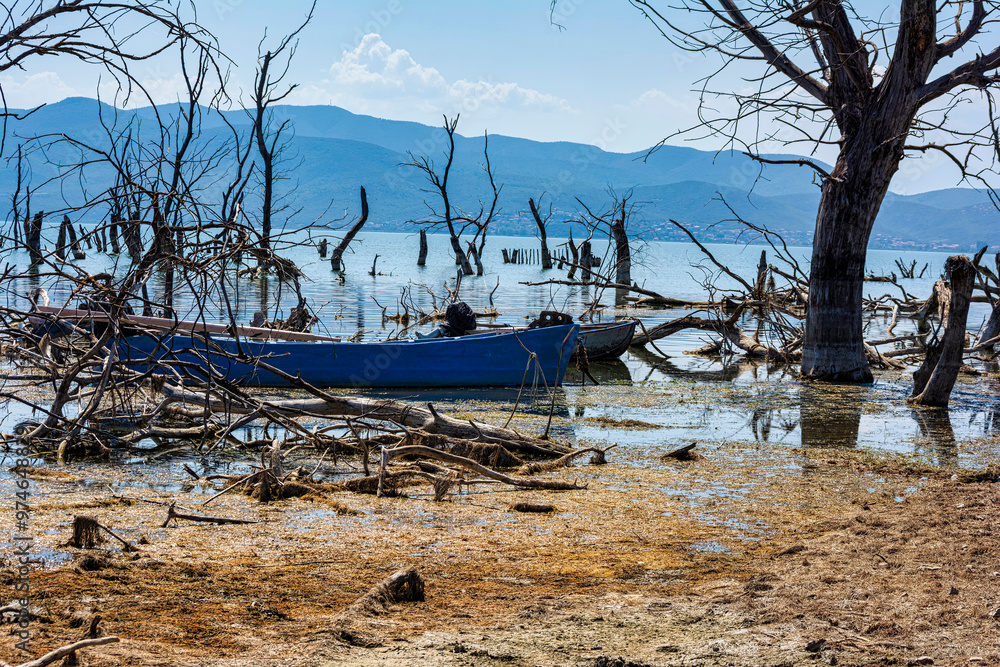 Dried trees and boats on the shore of Doiran Lake, Greece Dried trees and boats on the shore of Doiran Lake, Greece