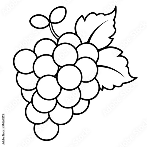 various grapes outline coloring book page line art drawing