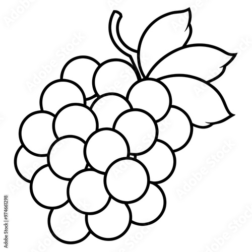 various grapes outline coloring book page line art drawing