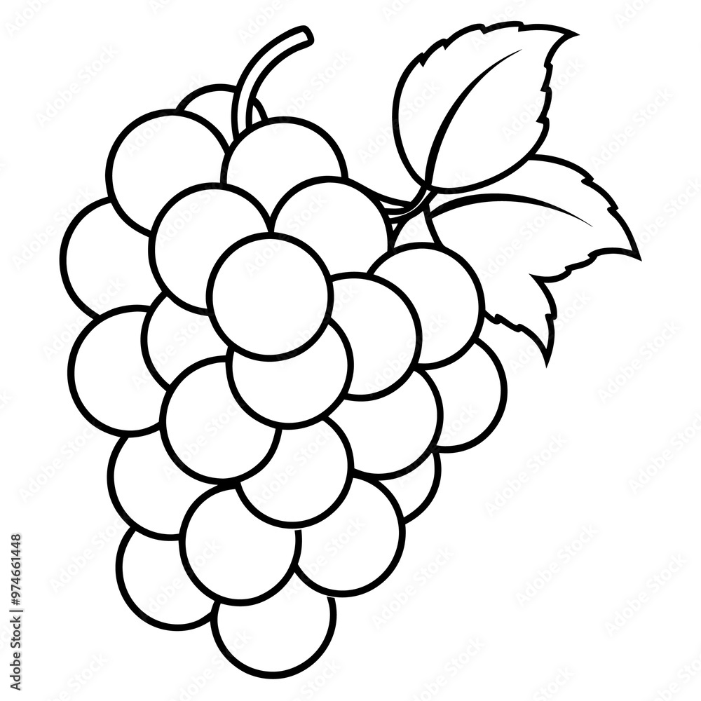 various grapes outline coloring book page line art drawing various grapes outline coloring book page line art drawing