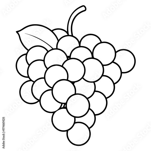various grapes outline coloring book page line art drawing