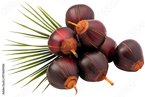 Close Up To a Set of ripe Saw Palmetto PNG isolated on white and transparent background - Tropical 
 palmetto berries Wild Fruit cluster