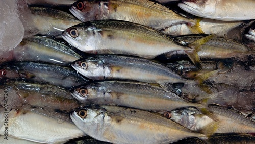 Stack of silver and yellow stripes mackerel fishes display on ice at seafood market. background image photo