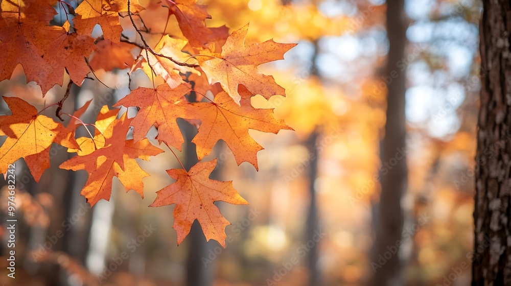 Bright Fall Sunny day at The Oak Mountain State Park : Generative AI Bright Fall Sunny day at The Oak Mountain State Park : Generative AI