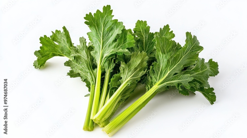 Fresh green celery with vibrant leaves and stalks on a white background. Fresh green celery with vibrant leaves and stalks on a white background.